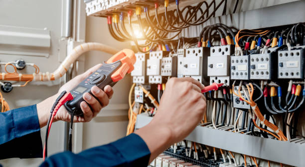 Best Electrical System Inspection  in Mendota, IL