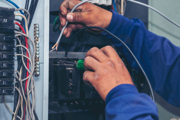 Best Licensed Electrician  in Mendota, IL