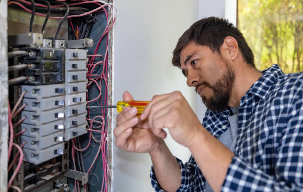 Best 24-Hour Electrician  in Mendota, IL
